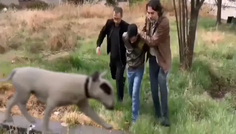 Şampiyon Köpeği Çalma Operasyonu: Hırsız Yakalandı, Helikopterle Takip Edildi!