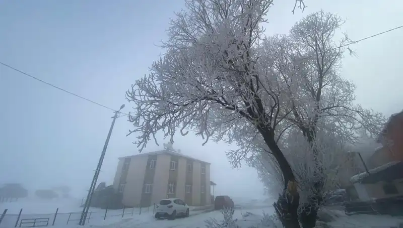 Soğuk Hava Dalgası: Göle'de Kaydedilen Eksi 18 Derece Şok Yaratıyor