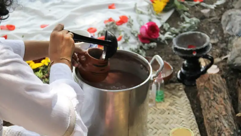 Ayahuasca: Geleneksel İçeceğin Gizemleri ve Yasal Durumu