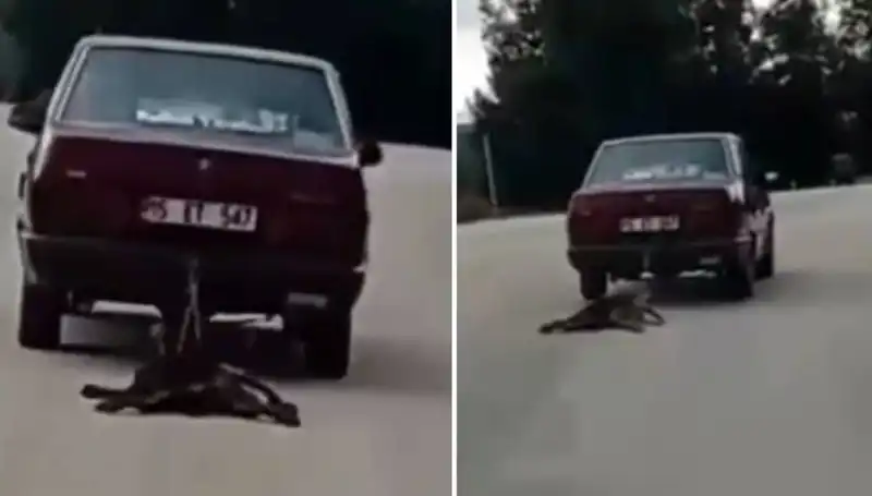 Sürüklenen Köpeğin Dramı: Bir Araçta Yaşanan Şok Olay