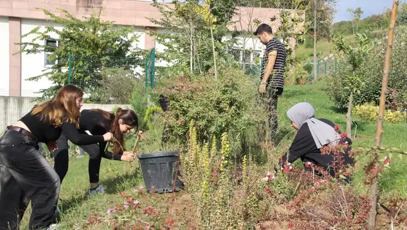 Düzce'nin Büyüsü: Hayalden Gerçekliğe Dönüşen Bir Başarı Hikayesi