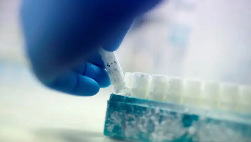 Tıbbi Skandal: 85 Sperm Donörü Binlerce Çocuk Yetiştirdi