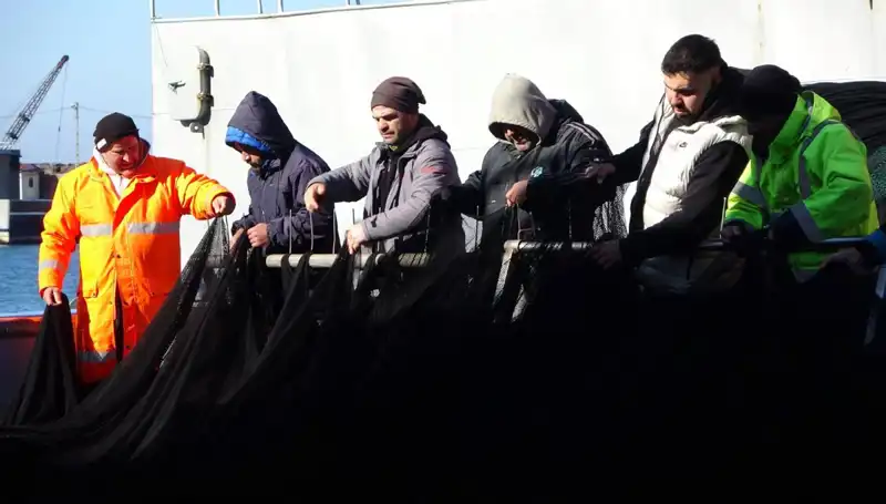 Hamsi Avında Şok Gelişme: Balıkçılar Erken Veda Ediyor!