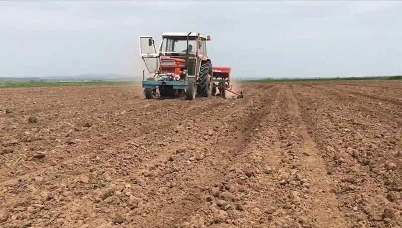 Son 35 Yılda Yaşanan En Kurak Mart: Yağış Miktarı Yüzde 59 Düştü