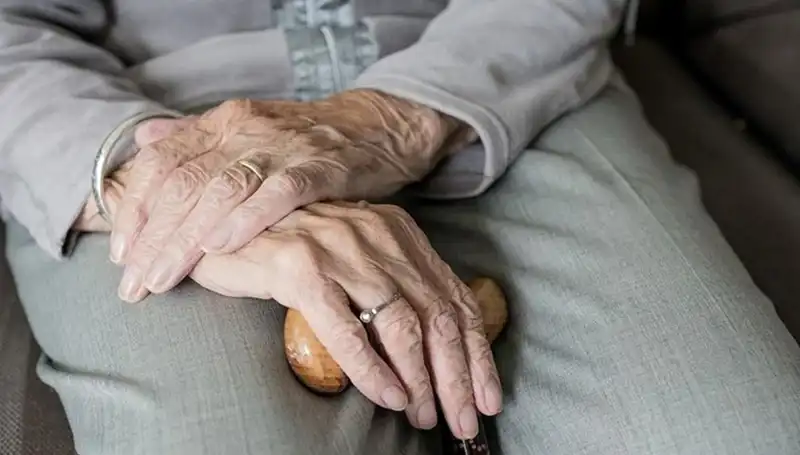 Türkiye'de Nüfus Yaşlanıyor: Geleceğe Dair Endişeler ve Çözüm Yolları
