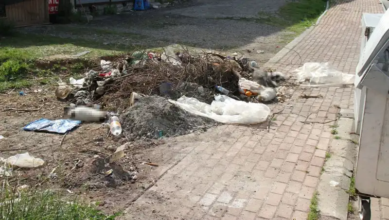 Antalya'da Kedilere Yönelik Şok Edici Vahşet: 10 Kedi Ölü Bulundu